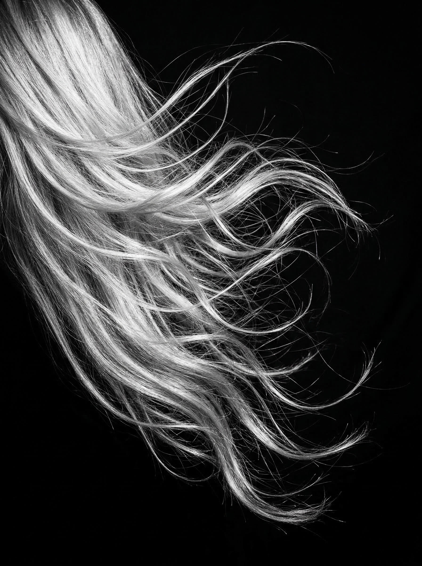 Abstract flowing hair strands in monochrome